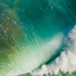 Meet your Posher, Camryn